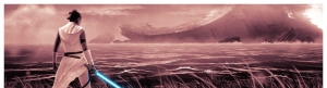 一大波《星球大战：天行者崛起》艺术海报来袭