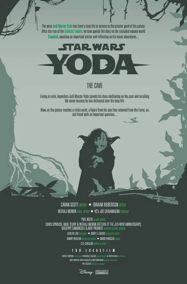 STWYODA2022010_Preview-2-min.jpg