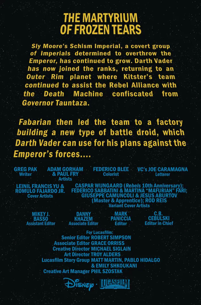 STWVADER2020045_Preview-2.jpg